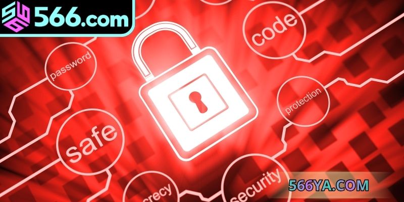 Các quy định trong chính sách bảo mật tại 566