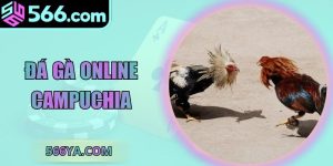 Đá Gà Online Campuchia - Sân Chơi Hợp Pháp Đáng Tin Cậy