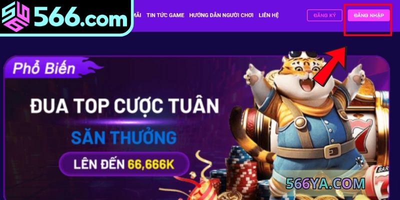Các bước đăng nhập 566 nhanh chóng, an toàn 