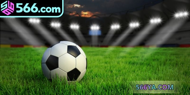 Có nhiều loại hình khác nhau trong cược tỷ số