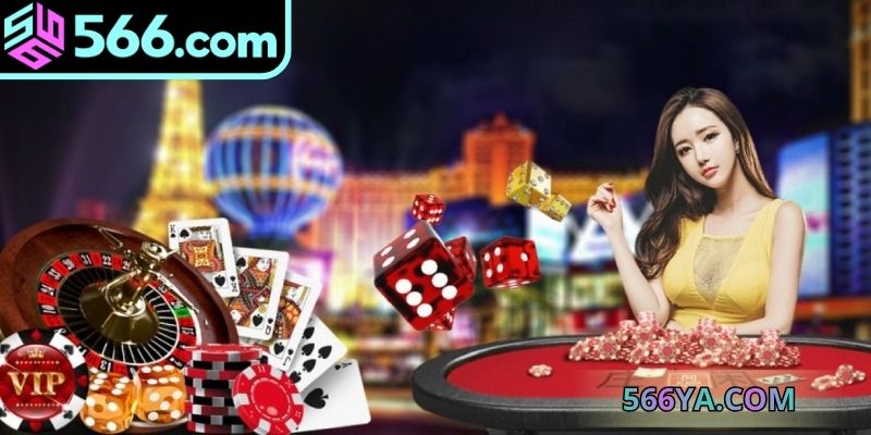 Tổng hợp các chương trình khuyến mãi độc quyền tại 566